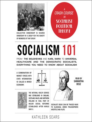 cover image of Socialism 101